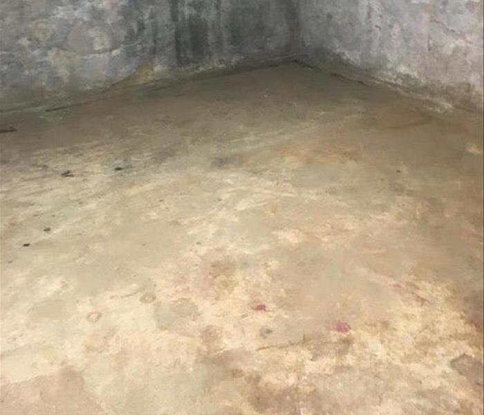 Concrete basement floor cleaned and extracted from sludge