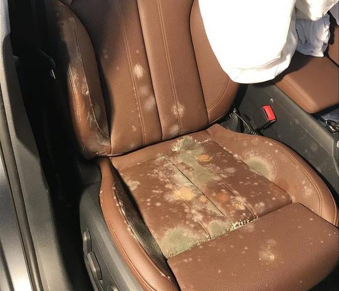 Passenger seat in 2017 Audi A4 car covered in microbial growth from windows being left open during rain storm.