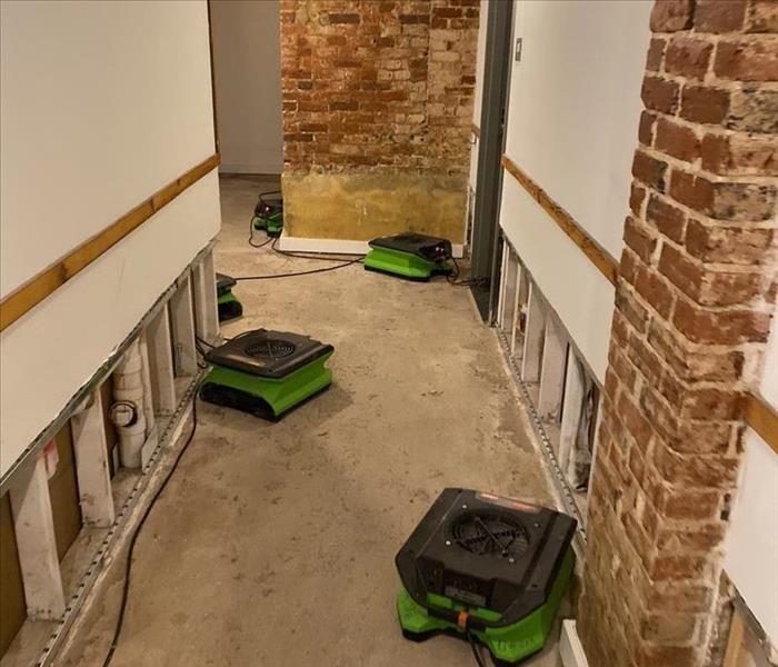 green drying equipment set up in a commercial building