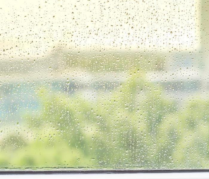 rain water on window